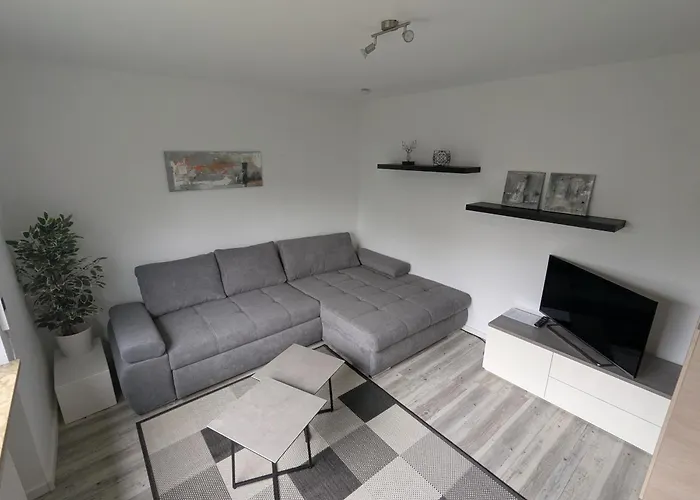 Daire Einfach Baerig *